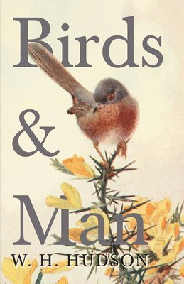 W.H., Hudson - Birds and Man, Häftad