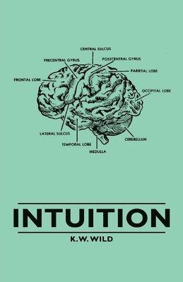 Intuition 1