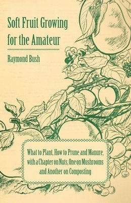 Soft Fruit Growing for the Amateur - What to Plant, How to Prune and Manure, with a Chapter on Nuts, One on Mushrooms and Another on Composting 1