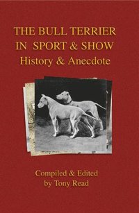 bokomslag Bull Terrier in Sport And Show - History & Anecdote