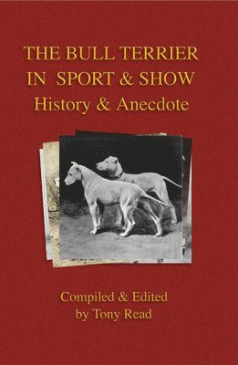 Bull Terrier in Sport And Show - History & Anecdote 1