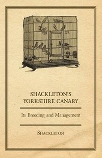 bokomslag Shackleton's Yorkshire Canary - Its Breeding and Management