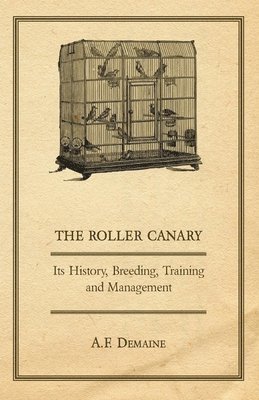 bokomslag Roller Canary - Its History, Breeding, Training and Management