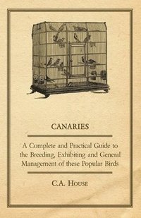 bokomslag Canaries - A Complete and Practical Guide to the Breeding, Exhibiting and General Management of These Popular Birds