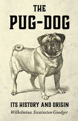 bokomslag Pug-Dog - Its History And Origin