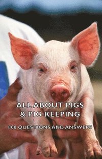 bokomslag All About Pigs & Pig-Keeping - 800 Questions and Answers