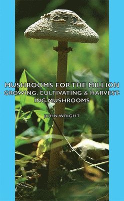 bokomslag Mushrooms For The Million - Growing, Cultivating & Harvesting Mushrooms