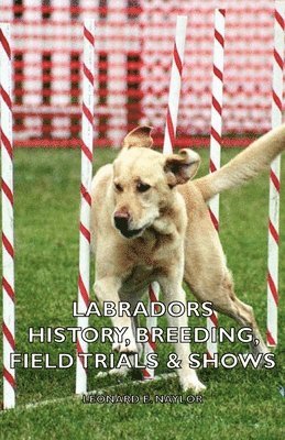 bokomslag Labradors - History, Breeding, Field Trials & Shows