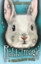 bokomslag Rabbitmagic
