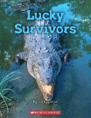 bokomslag Lucky Survivors