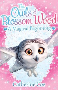 bokomslag Owls of Blossom Wood: A Magical Beginning
