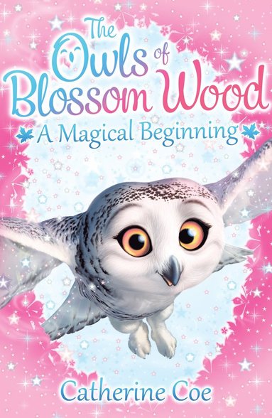 bokomslag Owls of Blossom Wood: A Magical Beginning
