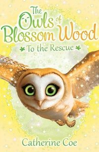 bokomslag Owls of Blossom Wood: To the Rescue