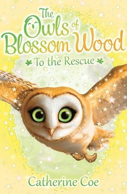 bokomslag Owls of Blossom Wood: To the Rescue