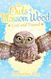 bokomslag Owls of Blossom Wood: Lost and Found