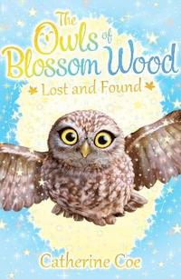 bokomslag The Owls of Blossom Wood: Lost and Found