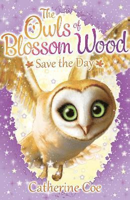 Catherine Coe - Owls of Blossom Wood: Save the Day, Häftad