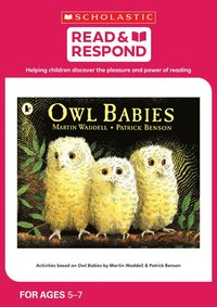 bokomslag Owl Babies