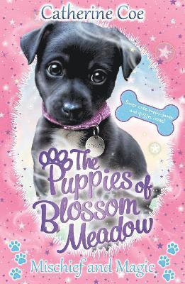 Mischief and Magic (Puppies of Blossom Meadow #2) 1