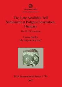 bokomslag The Late Neolithic Tell Settlement at Polgr-Csszhalom Hungary
