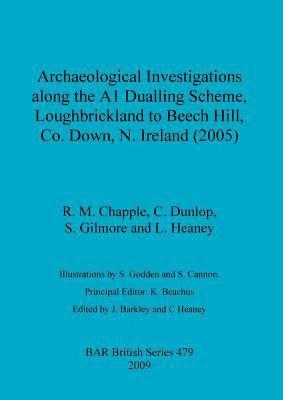 bokomslag Archaeological investigations along the A1 Dualling Scheme, Loughbrickland to Beech Hill, Co. Down, N. Ireland (2005)