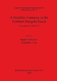 bokomslag A Neolithic Cemetery in the Northern Dongola Reach: Excavations at Site R12