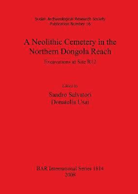 bokomslag A Neolithic Cemetery in the Northern Dongola Reach: Excavations at Site R12