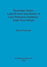 bokomslag Theorising tenure: Land division and identity in later prehistoric Dartmoor, south-west Britain