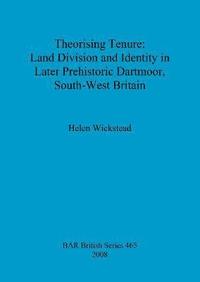 bokomslag Theorising tenure: Land division and identity in later prehistoric Dartmoor, south-west Britain