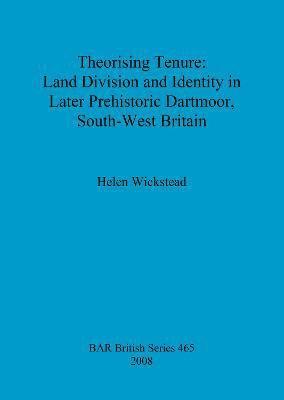 bokomslag Theorising tenure: Land division and identity in later prehistoric Dartmoor, south-west Britain