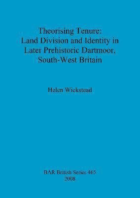 bokomslag Theorising tenure: Land division and identity in later prehistoric Dartmoor, south-west Britain