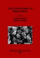 Andrzej Antczak, Roberto Cipriani - Early Human Impact on Megamolluscs, Häftad