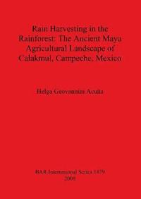 bokomslag Rain Harvesting in the Rainforest: The Ancient Maya Agricultural Landscape of Calakmul Campeche Mexico