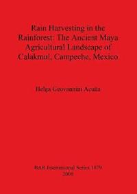 bokomslag Rain Harvesting in the Rainforest: The Ancient Maya Agricultural Landscape of Calakmul Campeche Mexico