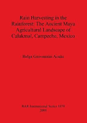 bokomslag Rain Harvesting in the Rainforest: The Ancient Maya Agricultural Landscape of Calakmul Campeche Mexico