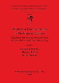 bokomslag Mountain Environments in Prehistoric Europe