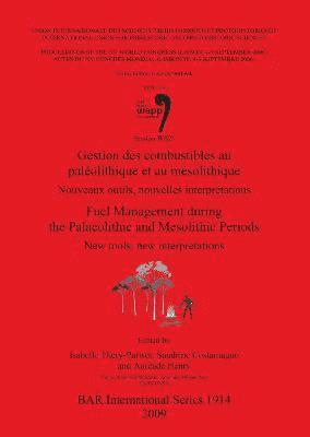 Sandrine Costamagno, Isabelle Théry-Parisot, Auréade Henry - Gestion des combustibles au paléolithique et au mésolithique / Fuel  Management during the Palaeolithic and Mesolithic Periods, Häftad