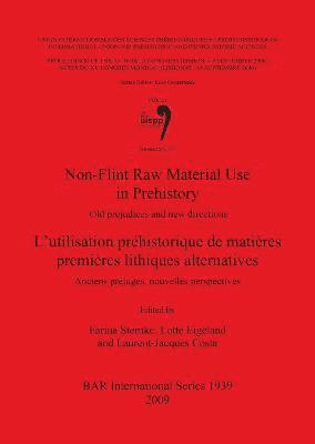 Laurent-Jacques Costa, Lotte Eigeland, Farina Sternke - Non-Flint Raw Material Use in Prehistory  / L'utilisation préhistorique de matières premières lithiques alternatives, Häftad