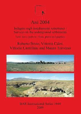 bokomslag Ani 2004: Indagini sugli insediamenti sotterranei /Surveys on the underground settlements testi foto e grafiche / texts photos and graphics