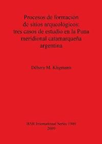 bokomslag Procesos de formacin de sitios arqueolgicos: tres casos de estudio en la Puna meridional catamarquea argentina