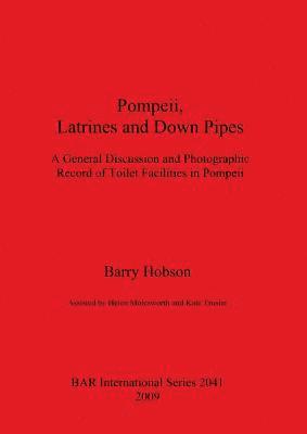 bokomslag Pompeii Latrines and Down Pipes
