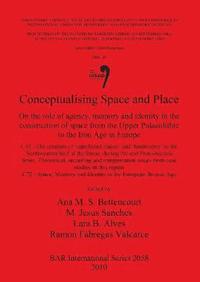 bokomslag Conceptualising Space and Place