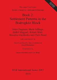 bokomslag The Upper Tisza Project. Studies in Hungarian Landscape Archaeology. Book 2: Settlement Patterns in the Bodrogkoez Block