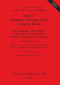 bokomslag The Upper Tisza Project. Studies in Hungarian Landscape Archaeology. Book 3: Settlement Patterns in the Zemplen Block