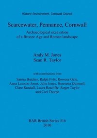 bokomslag Scarcewater, Pennance, Cornwall: Archaeological excavation of a Bronze Age and Roman landscape