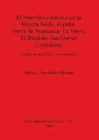 bokomslag El Paleoltico inferior en la Meseta Norte Espaa: Sierra de Atapuerca La Maya El Basalito San Quirce y Ambrona