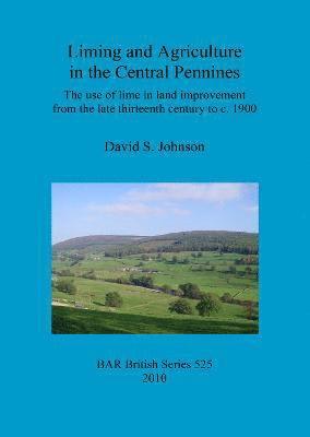 David S Johnson - Liming and agriculture in the central Pennines, Häftad