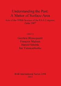 bokomslag Understanding the Past: a Matter of Surface-Area