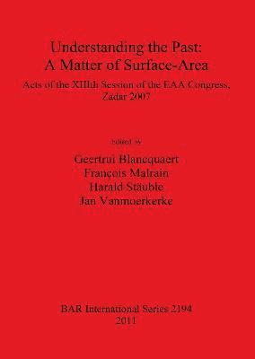 bokomslag Understanding the Past: a Matter of Surface-Area