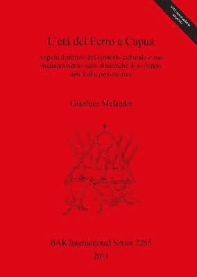 L' eta del Ferro a Capua Aspetti distintivi del contesto culturale e suo inquadramento nelle dinamiche di sviluppo dell'Italia protostorica 1